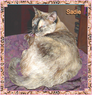 Sadie is Aimee’s tortoise shell cat. Casually known around the house as “Lil’ Gal,” Sadie shares Aimee’s passion for northern New Mexico bird-watching. Between naps she enjoys taking a stroll through whatever craft project is currently on the work table.