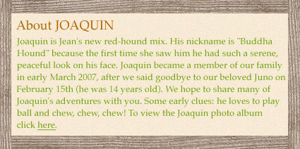 Joaquin is Jean